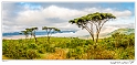 Panorama from the rim of the Ngorogoro crater_HBA9807_Gallery Print